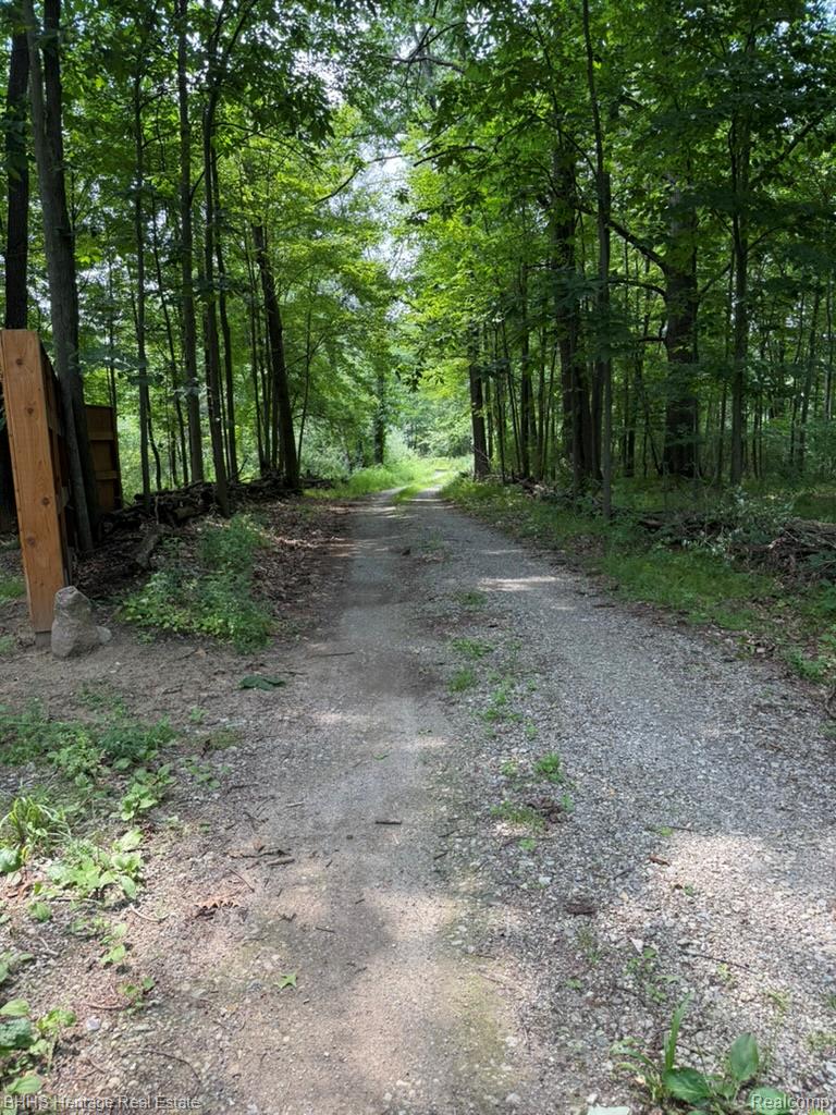 Oceola Township, Michigan 48855, United States, ,Land,Active,176210