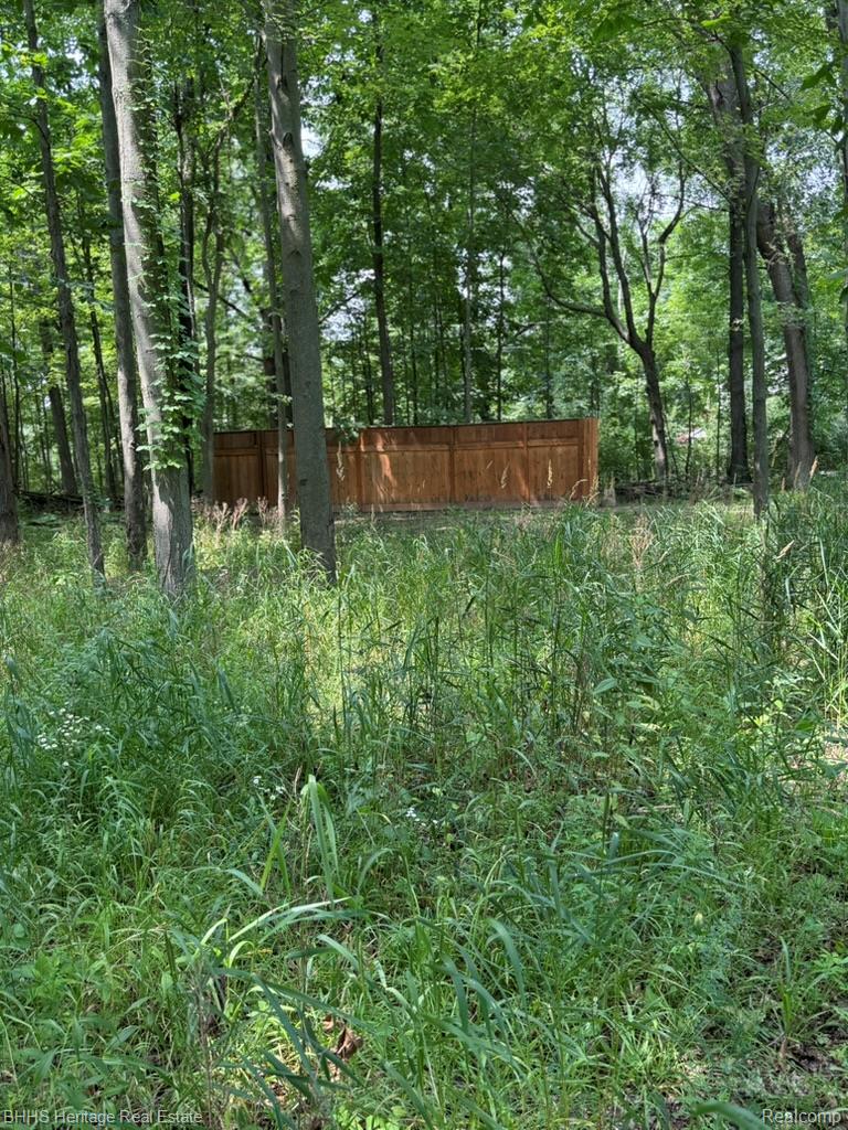 Oceola Township, Michigan 48855, United States, ,Land,Active,176210