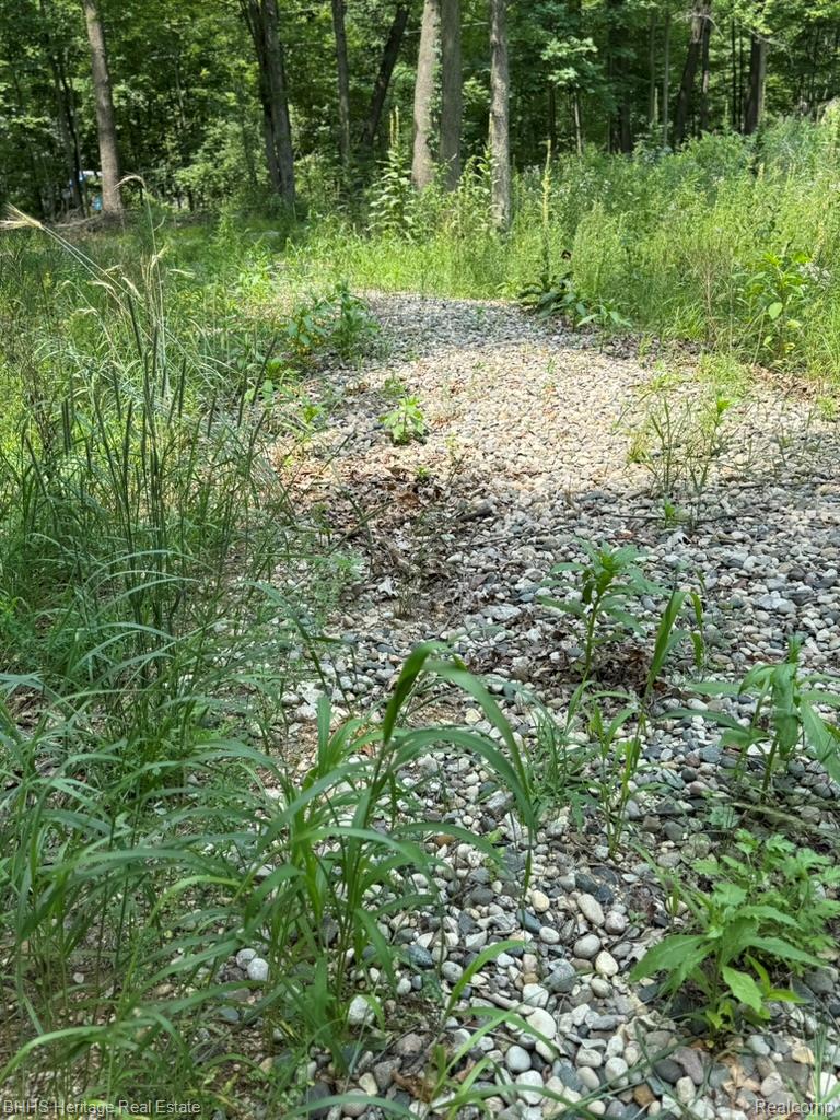 Oceola Township, Michigan 48855, United States, ,Land,Active,176210