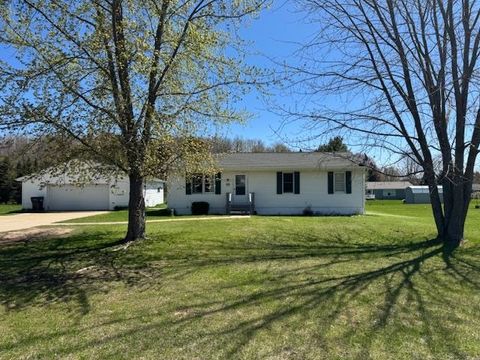 2195 S Sara Drive Lake Township Missaukee MI 49651