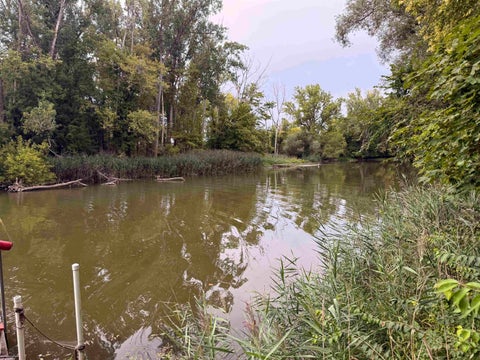 Tiny photo for 38545 Riverside Drive, Clinton Charter Township, MI 48036 (MLS # 58050221040)