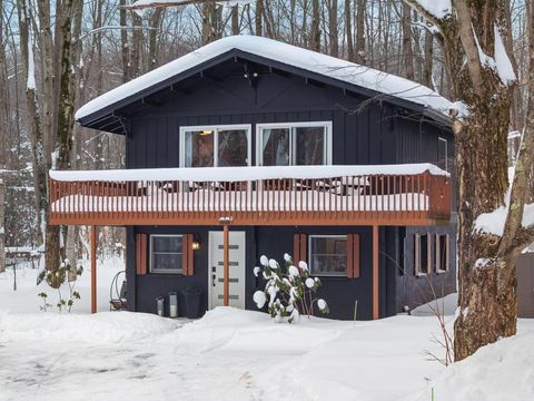 6688 Undervalden Drive Custer Township MI 49615