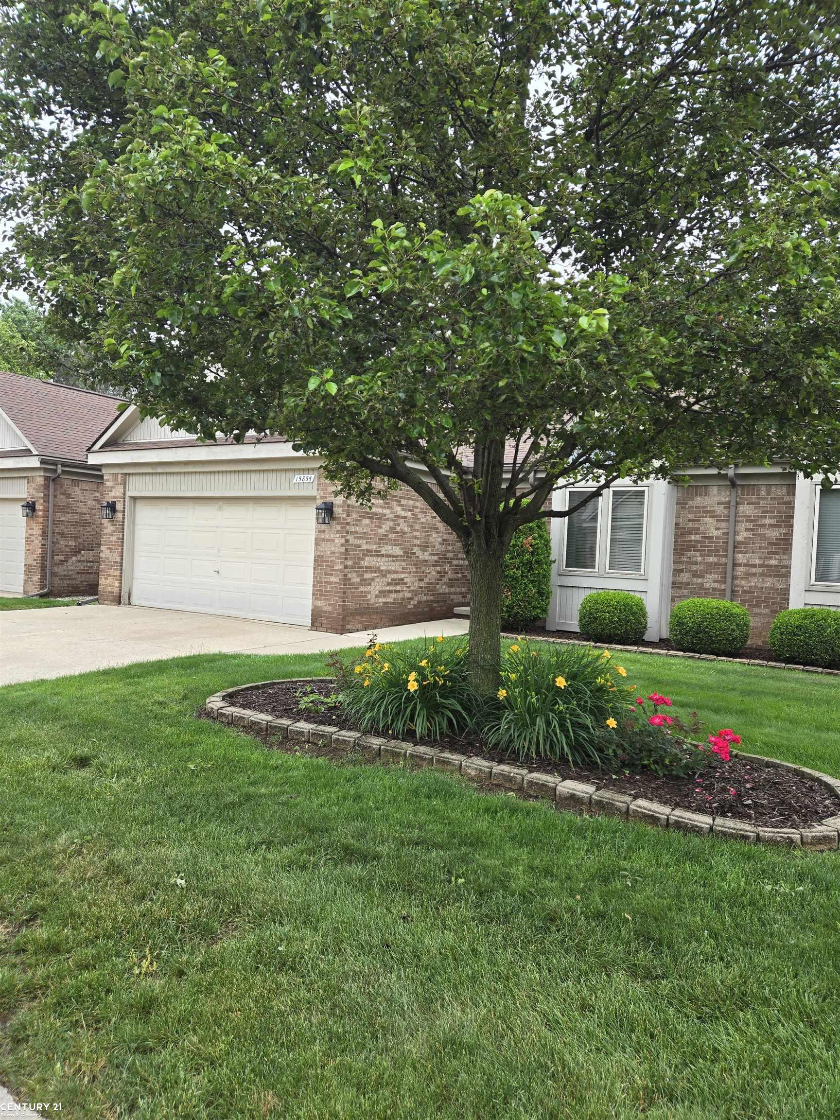 15855 ANGELO Lane