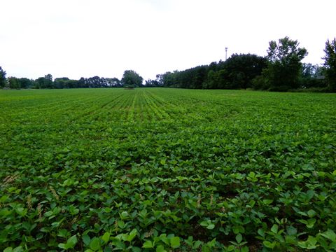 TBD Garfield Road Tittabawassee Township MI 48603