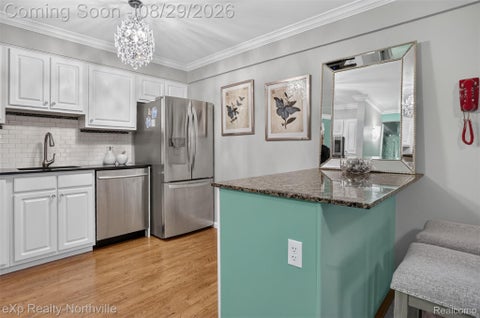 Tiny photo for 770 Deer Street #204, Plymouth City, MI 48170 (MLS # 20261069012)