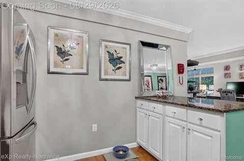 Tiny photo for 770 Deer Street #204, Plymouth City, MI 48170 (MLS # 20261069012)