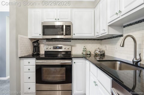 Tiny photo for 770 Deer Street #204, Plymouth City, MI 48170 (MLS # 20261069012)