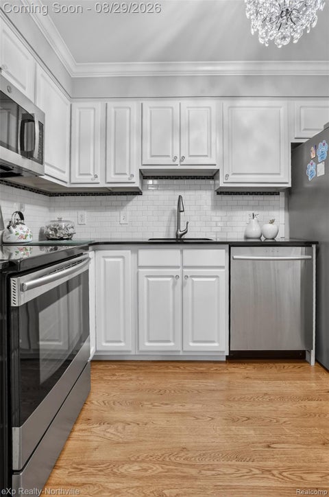 Tiny photo for 770 Deer Street #204, Plymouth City, MI 48170 (MLS # 20261069012)