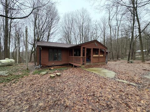 6250 N 7th Street Alamo Township MI 49009