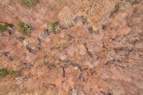 listing image 73