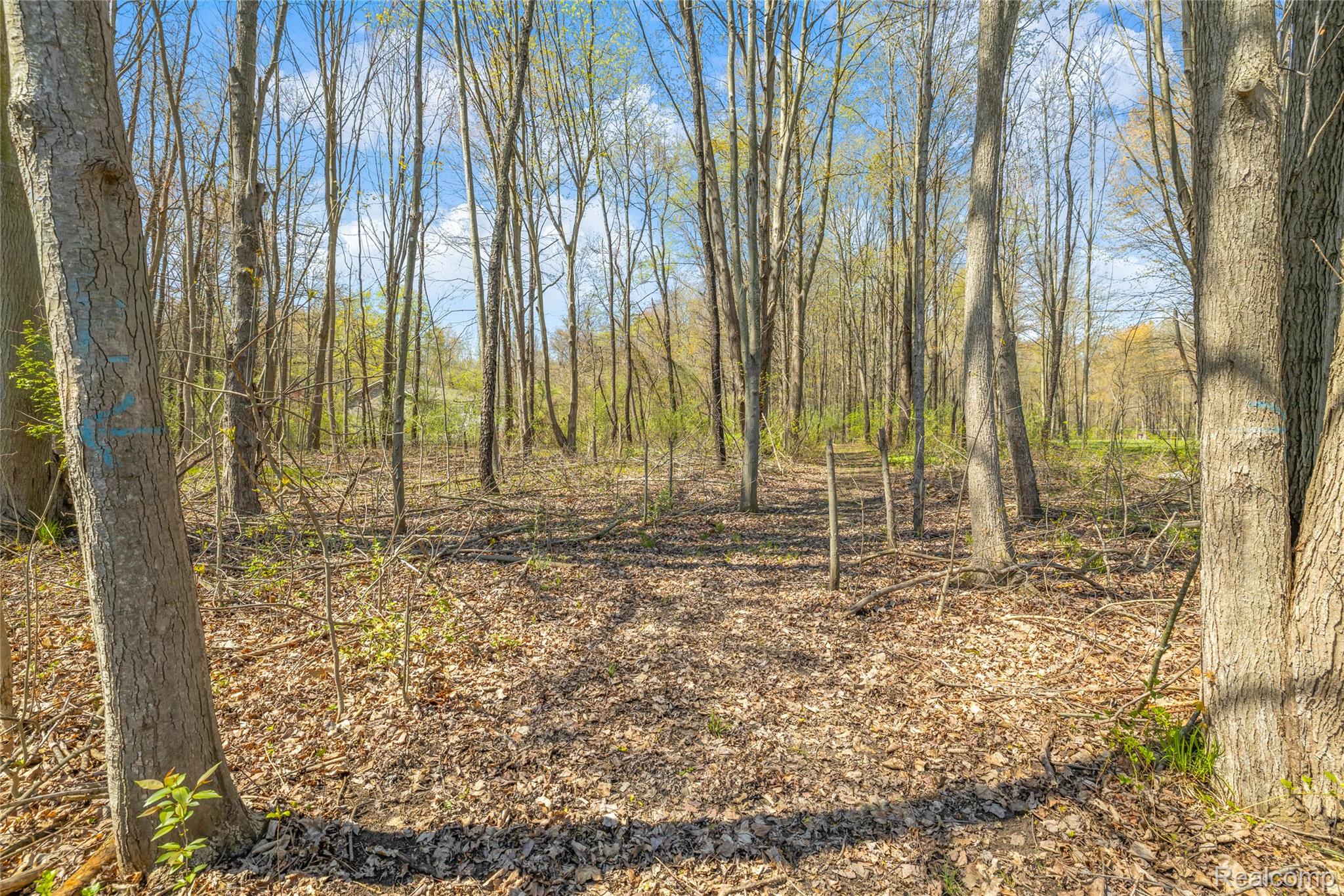 16000 S Huron River Drive