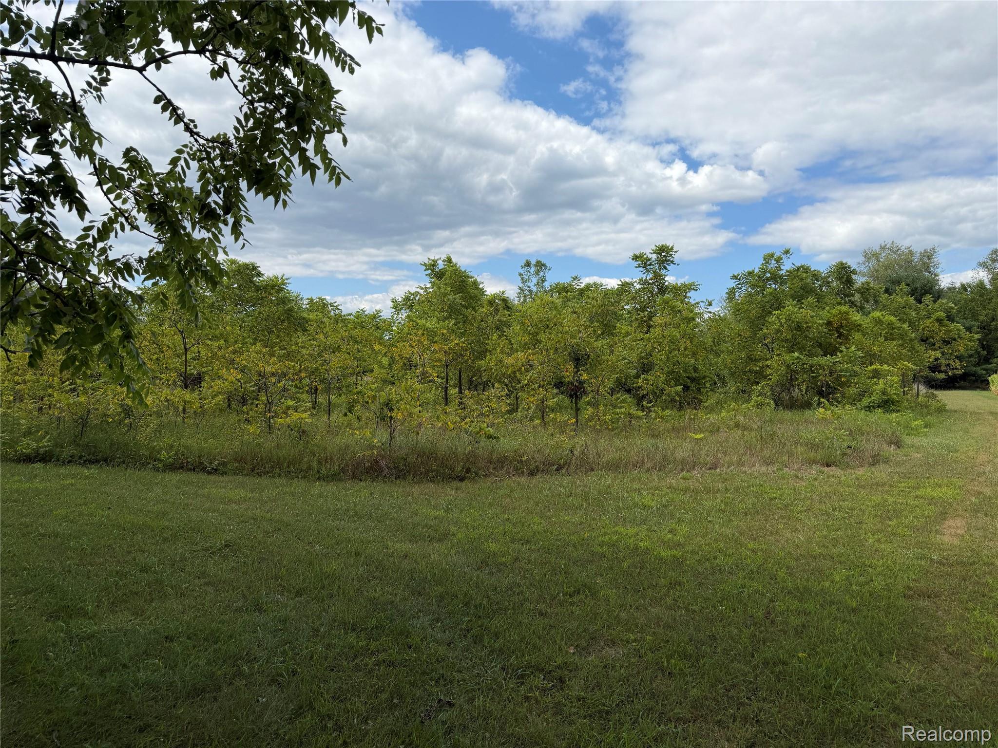 9177 Bemis Road