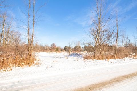 9936 Webb Road Wales Township MI 48027