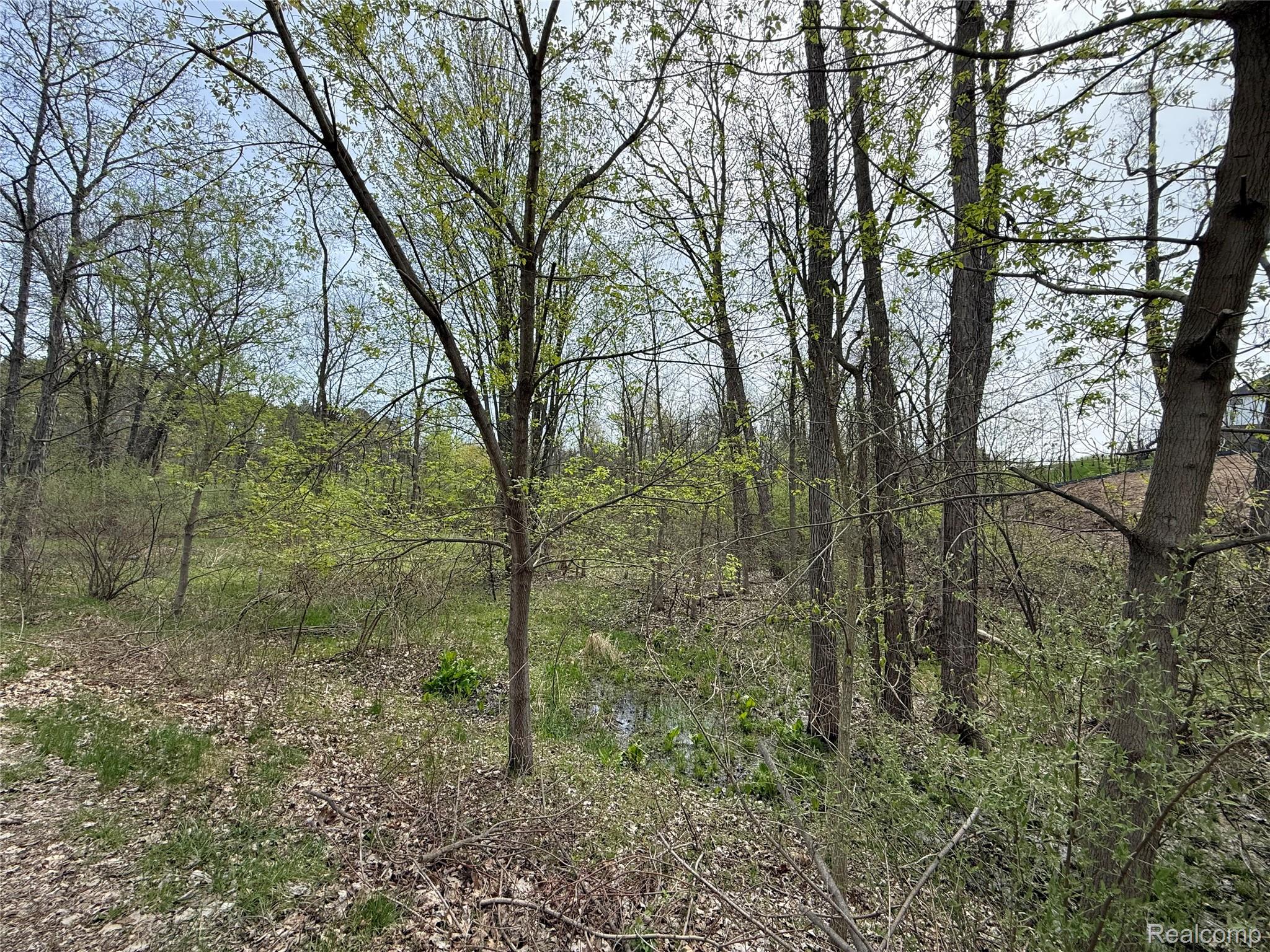 Lot 66 Preserve Drive