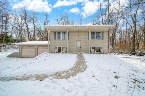 11494 Tamarack Drive Cambridge Township MI 49265