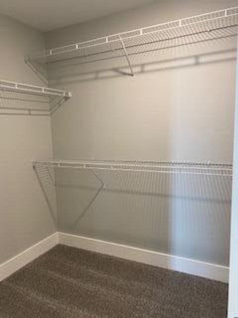 Tiny photo for 301 White Owl Lane #236, Dundee Village, MI 48131 (MLS # 81026013521)