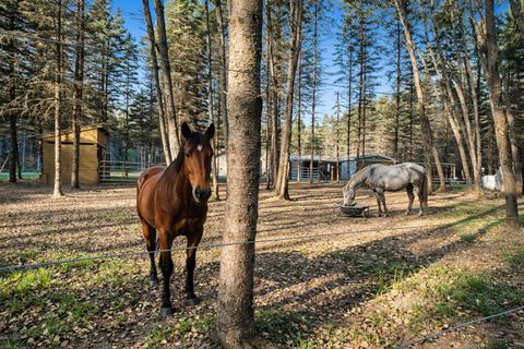 Photo of 134 Menominee Trail, Hanover Township, MI 49620 (MLS # 78080065501)