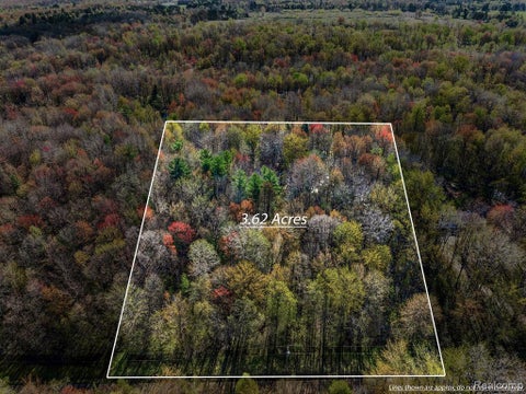 Photo for 6799 Maplegrove Road