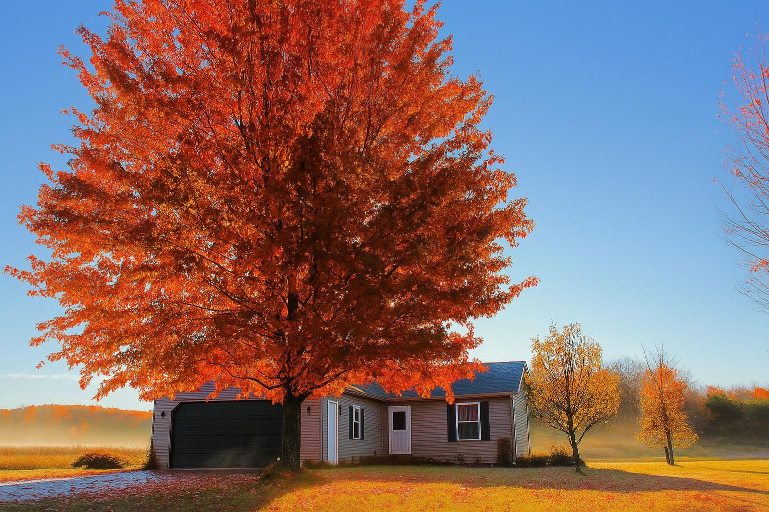 9297 Kingsfield Drive