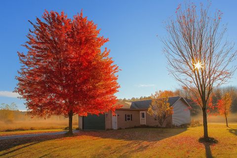 9297 Kingsfield Drive Mayfield Township MI 49649