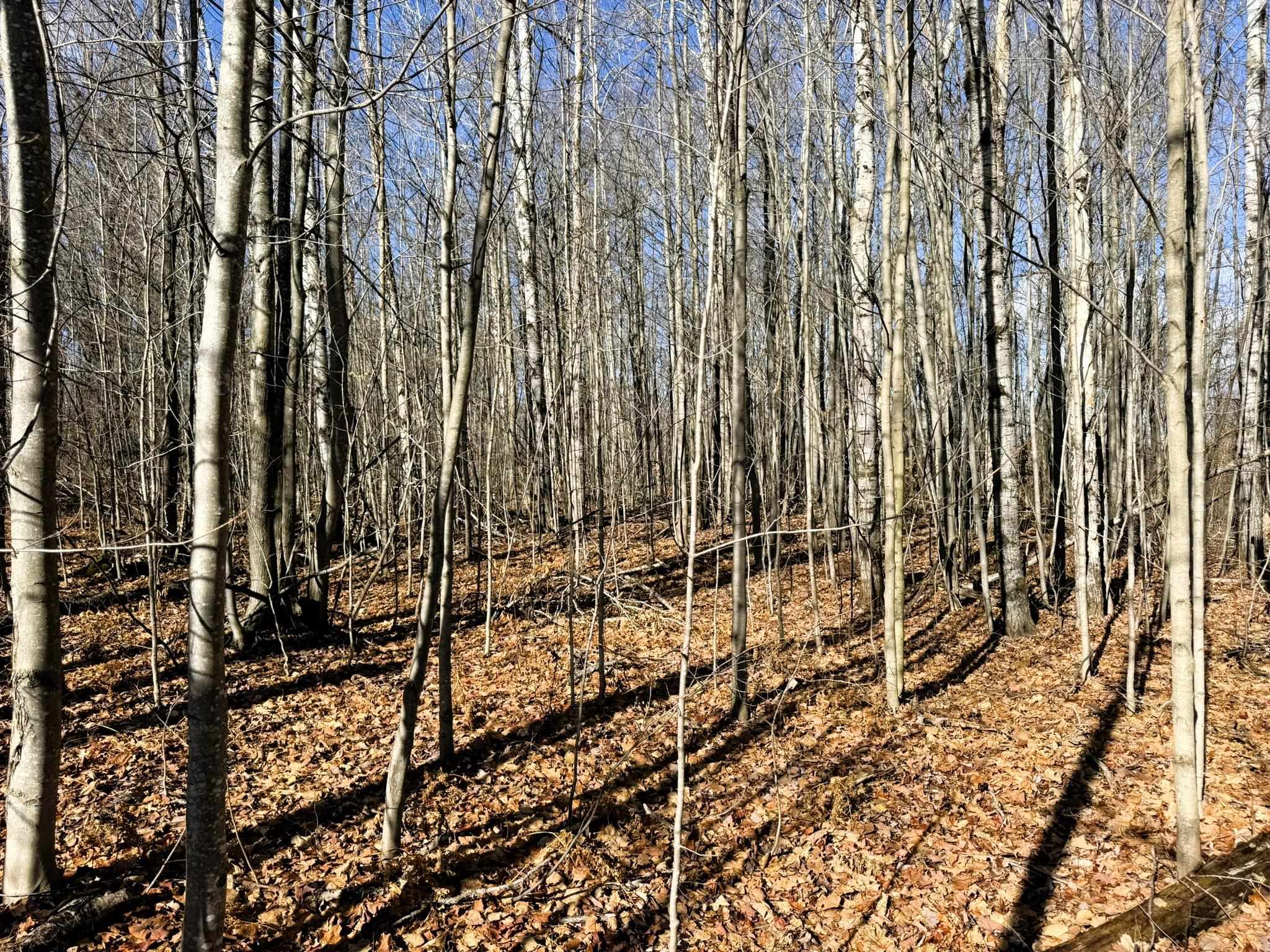 Lot 134 Wilderness Circle