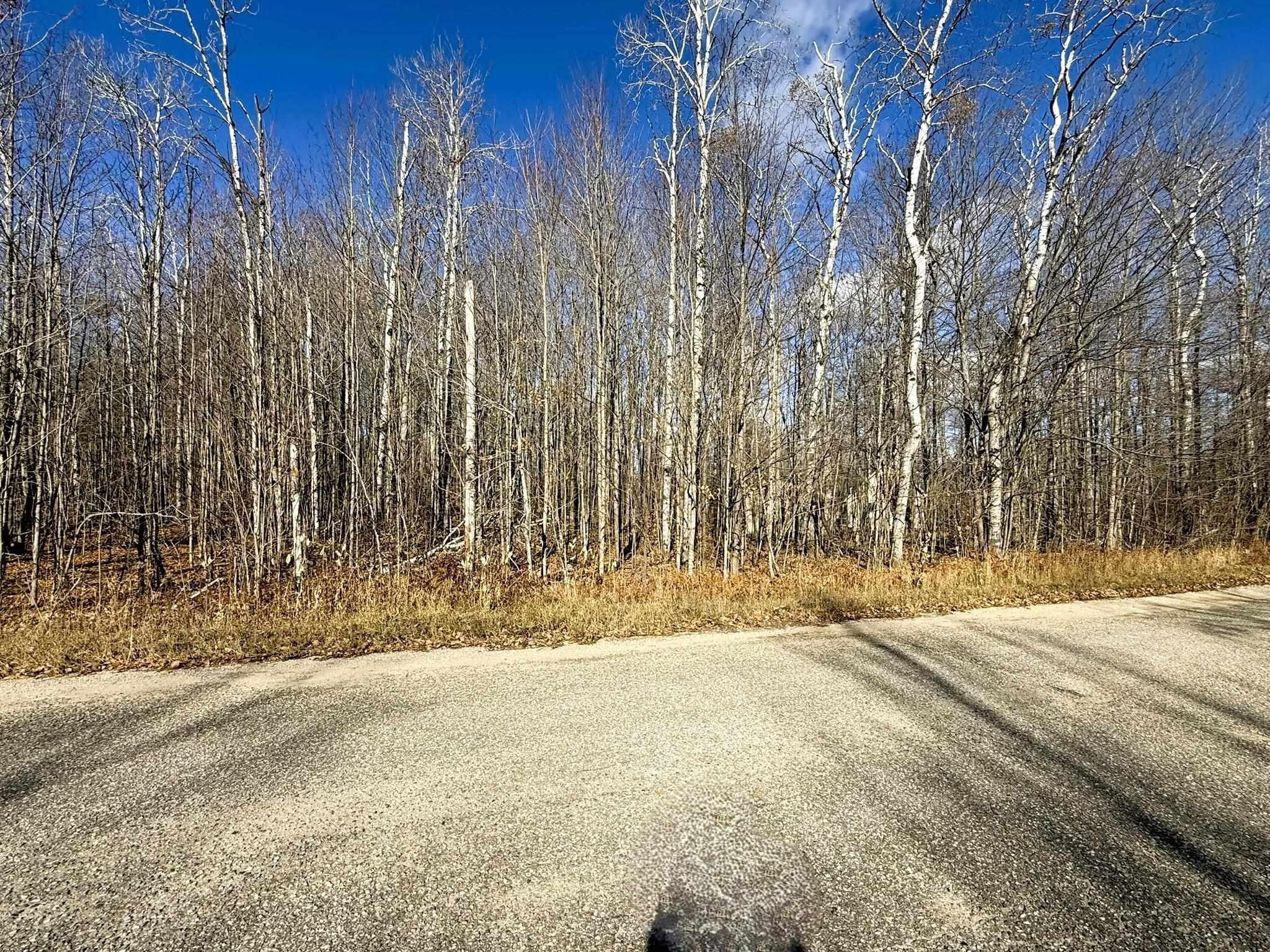 Lot 134 Wilderness Circle