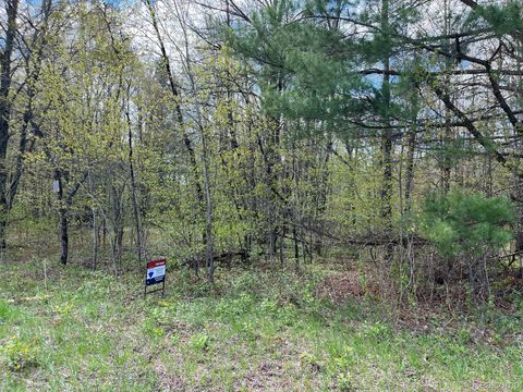 0000 Pineview Drive Star Township MI 49730