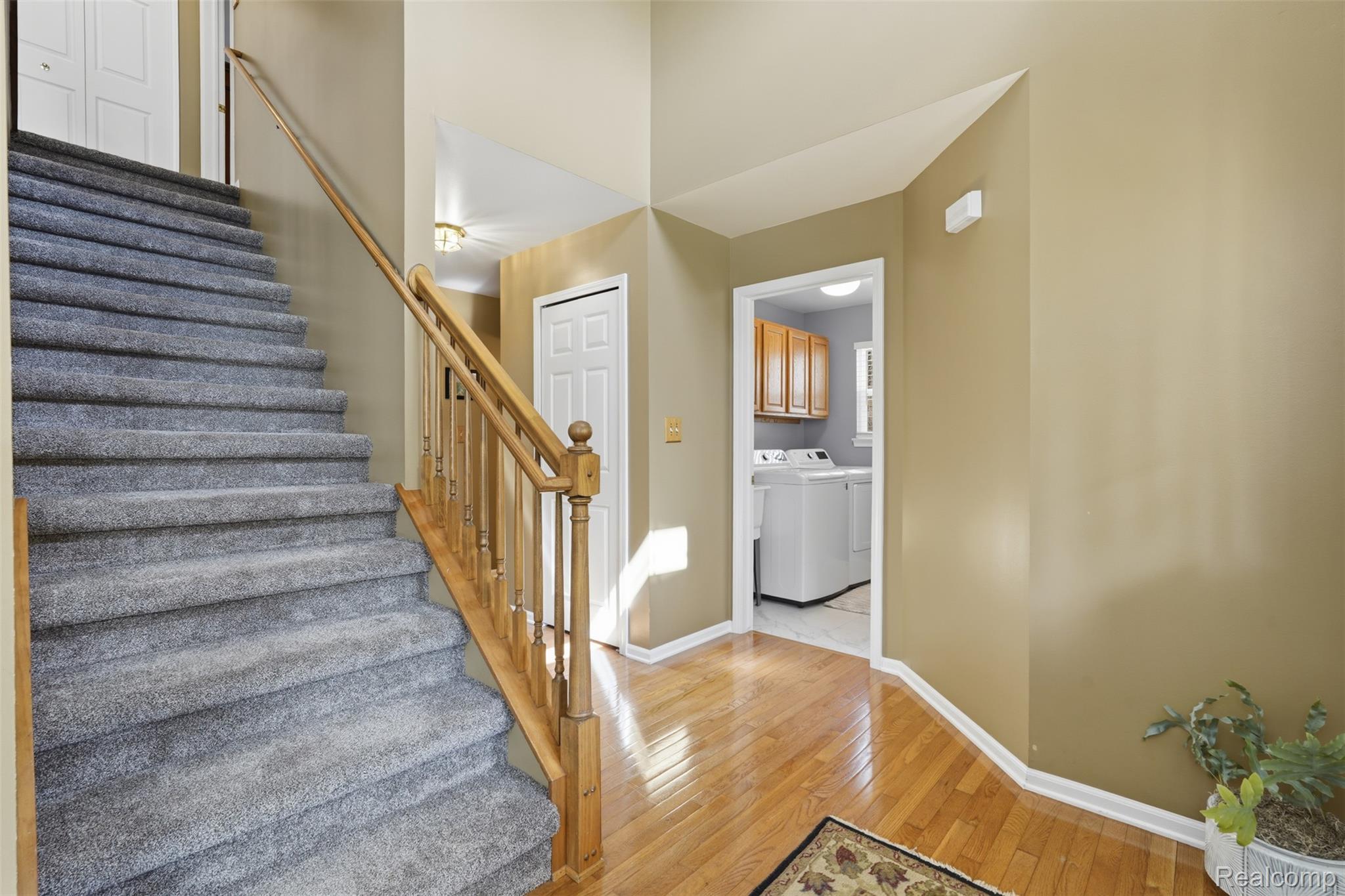 6263 Shadetree Court