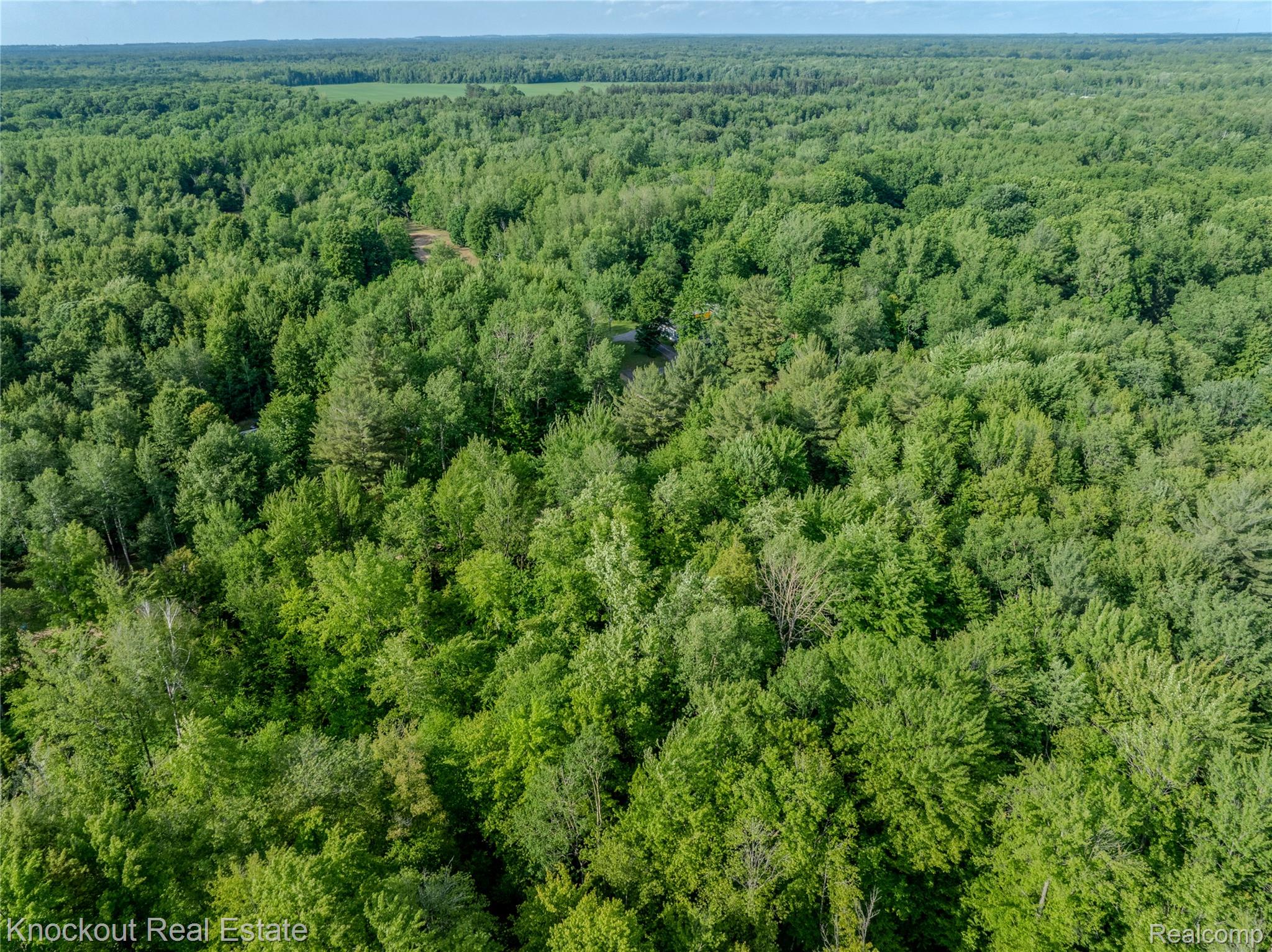 #0015 V/L Birch Lane