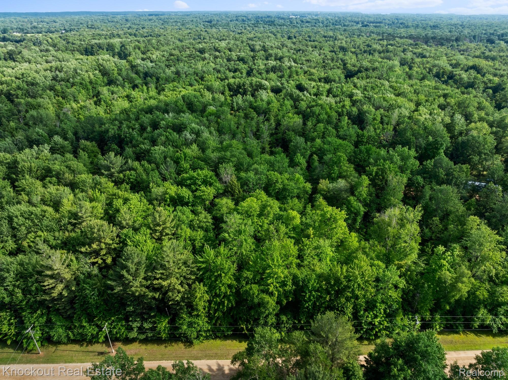 #0015 V/L Birch Lane