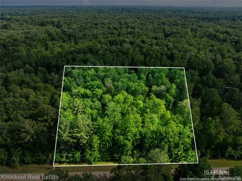 #0015 V/L Birch Lane Vassar City MI 48768