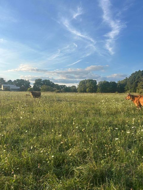 Tiny photo for 10989 Scio Church Road, Freedom Township, MI 48118 (MLS # 81026008921)