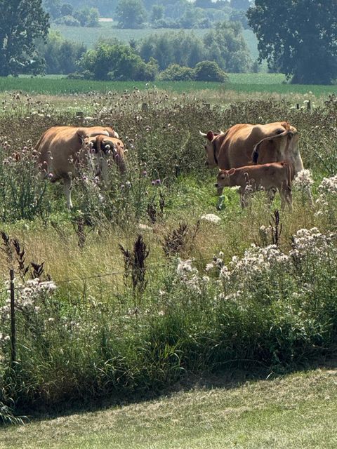 Tiny photo for 10989 Scio Church Road, Freedom Township, MI 48118 (MLS # 81026008921)