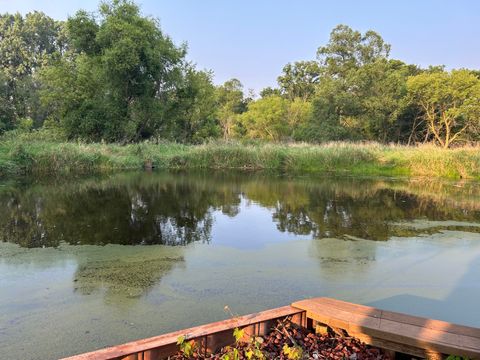 Tiny photo for 10989 Scio Church Road, Freedom Township, MI 48118 (MLS # 81026008921)