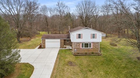 21850 Natasha Lane Lyon Charter Township MI 48178