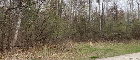 0 BIRCH Drive Fraser Township MI 48650