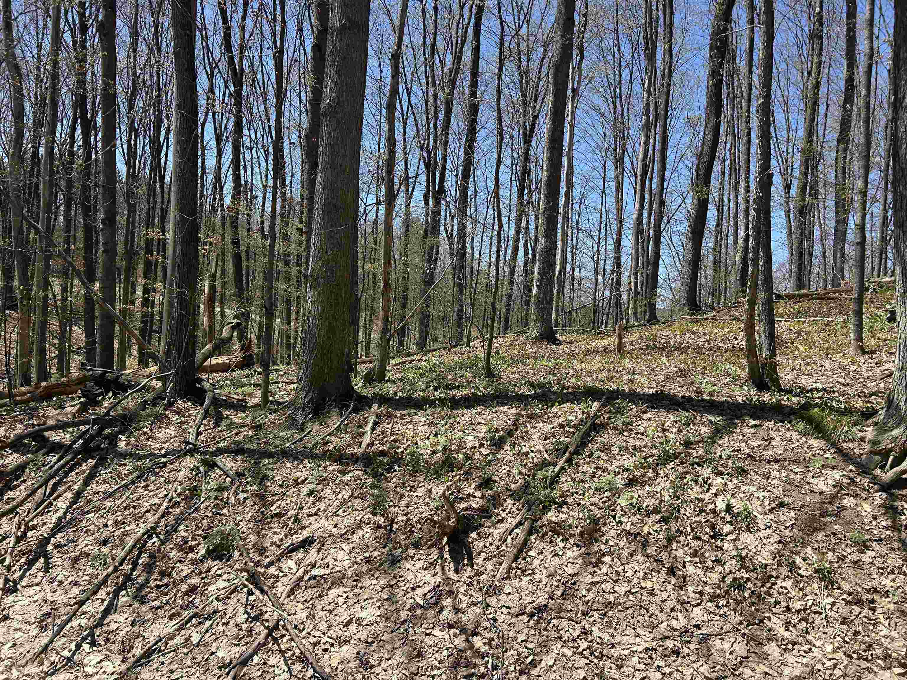 Lot 49 Val Disere Drive