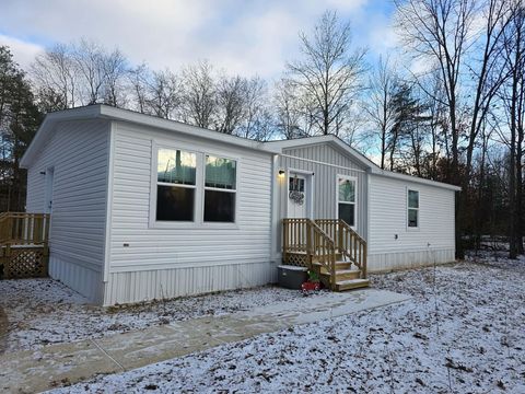 9036 N Jones Road Reynolds Township MI 49329