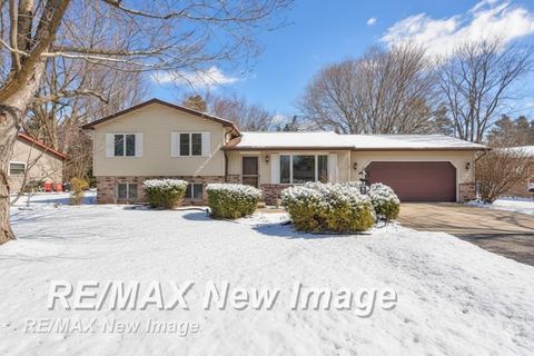 4132 Meadowbrook Drive Thomas Township MI 48623