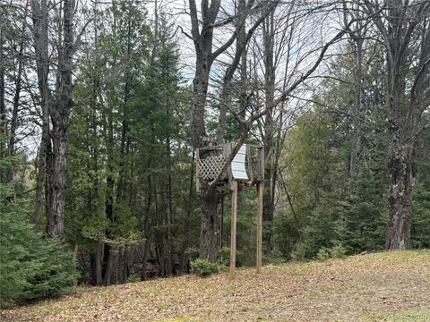 Tiny photo for 11245 Cedar Road, Freeman Township, MI 48632 (MLS # 20261039621)