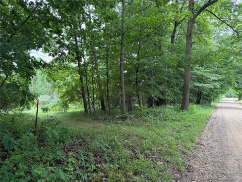 Photo for 0 Stanton Lake Rd