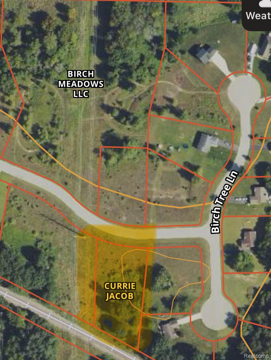 0000 Birch Meadows Lane