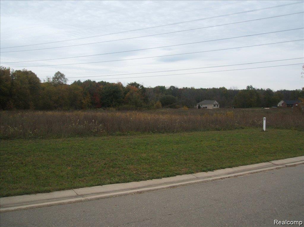 0000 Birch Meadows Lane