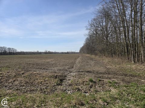 0 Meskill (Lot D) Road Columbus Township St Clair MI 48063