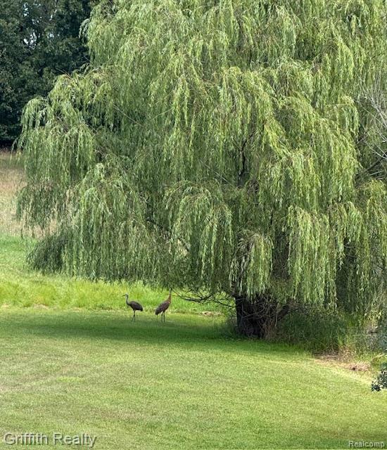 5748 W Coon Lake Road