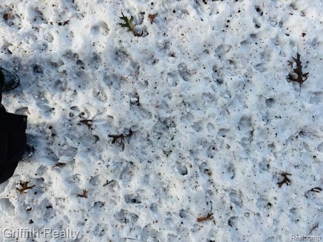 5748 W Coon Lake Road