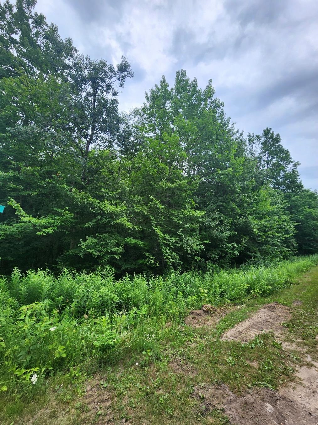 5165 Snowridge Trail