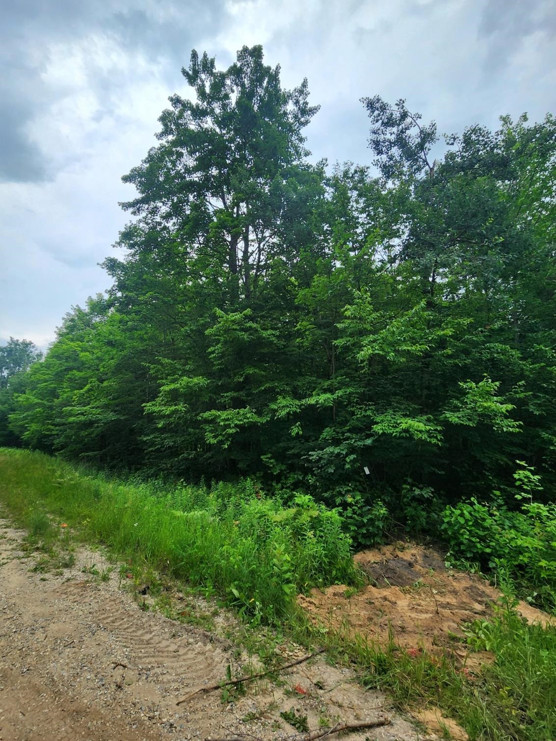 5165 Snowridge Trail