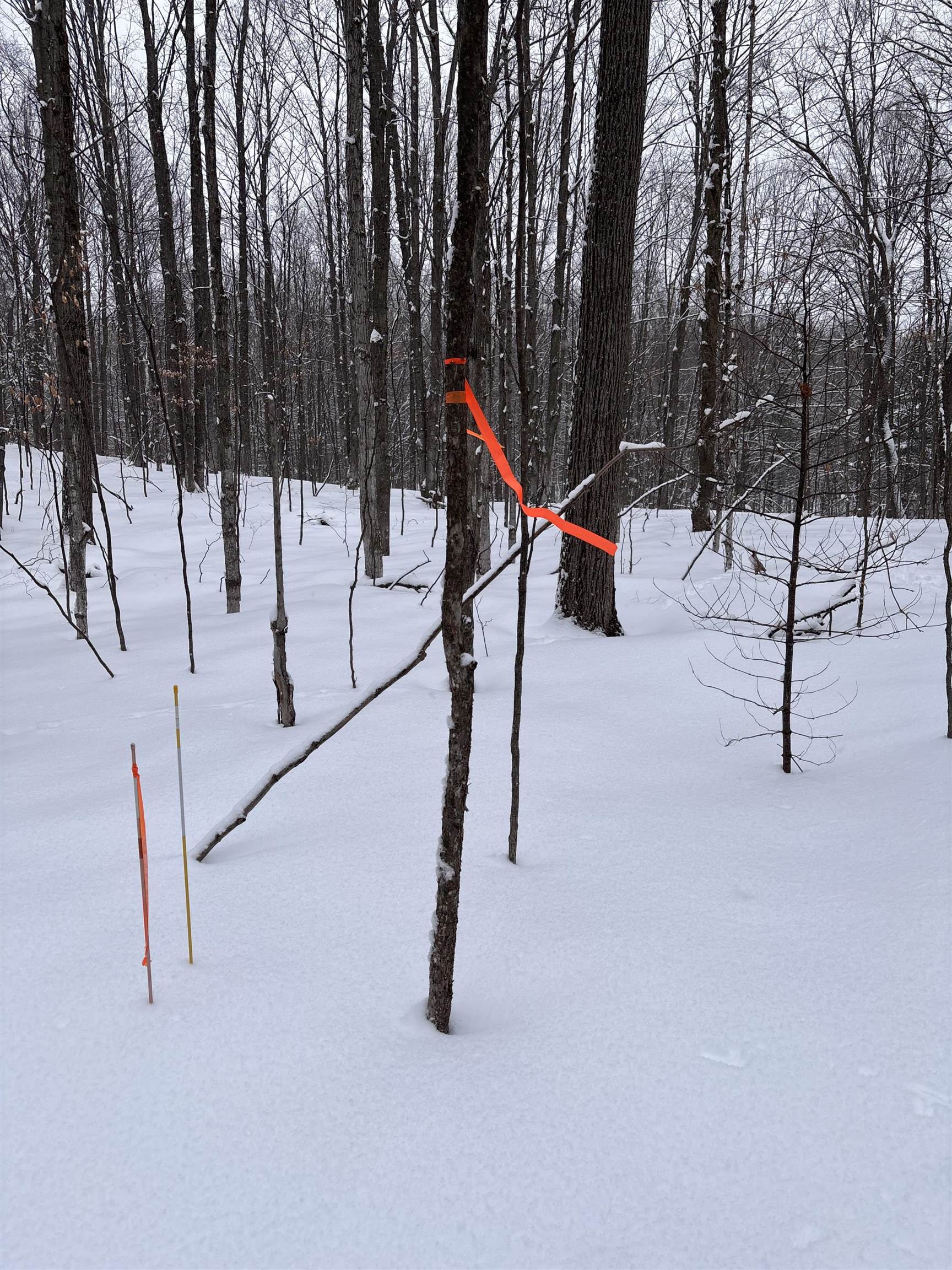 VL 22 Lake Louise Road