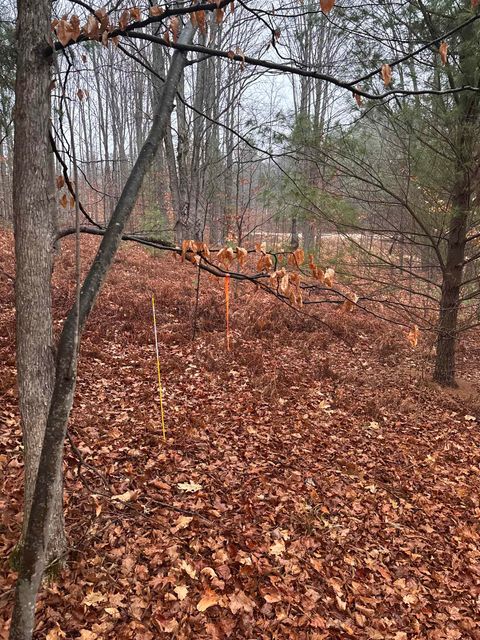 VL 22 Lake Louise Road Inland Township MI 49643